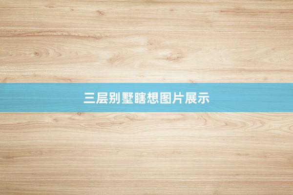 三层别墅瞎想图片展示